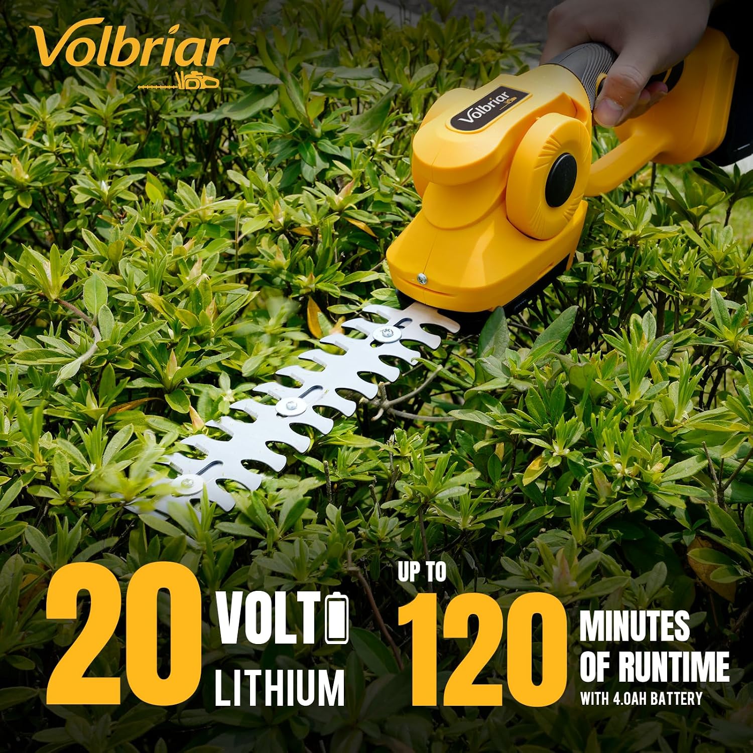 2-in-1コードレスポールヘッジトリマー＆草刈り機、14フ - Cordless Hedge Trimmer Pole 2 In 1 のレビューと価格